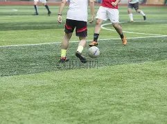 紐卡素欧冠,惨遭淘汰,千万损失难,新葡京,新葡京app,新葡京娱乐,新普京赌场