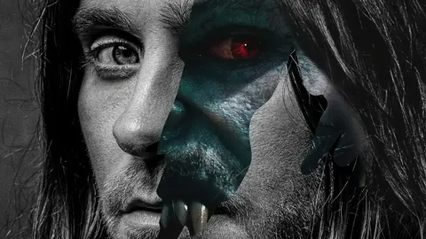 韦斯利福法纳：目标前三、足总杯与欧冠冠军争夺